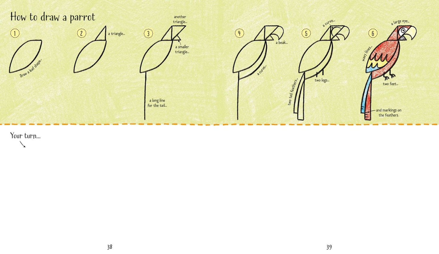 Usborne Step-by-Step Drawing Book Animals 逐步畫動物繪畫填色書