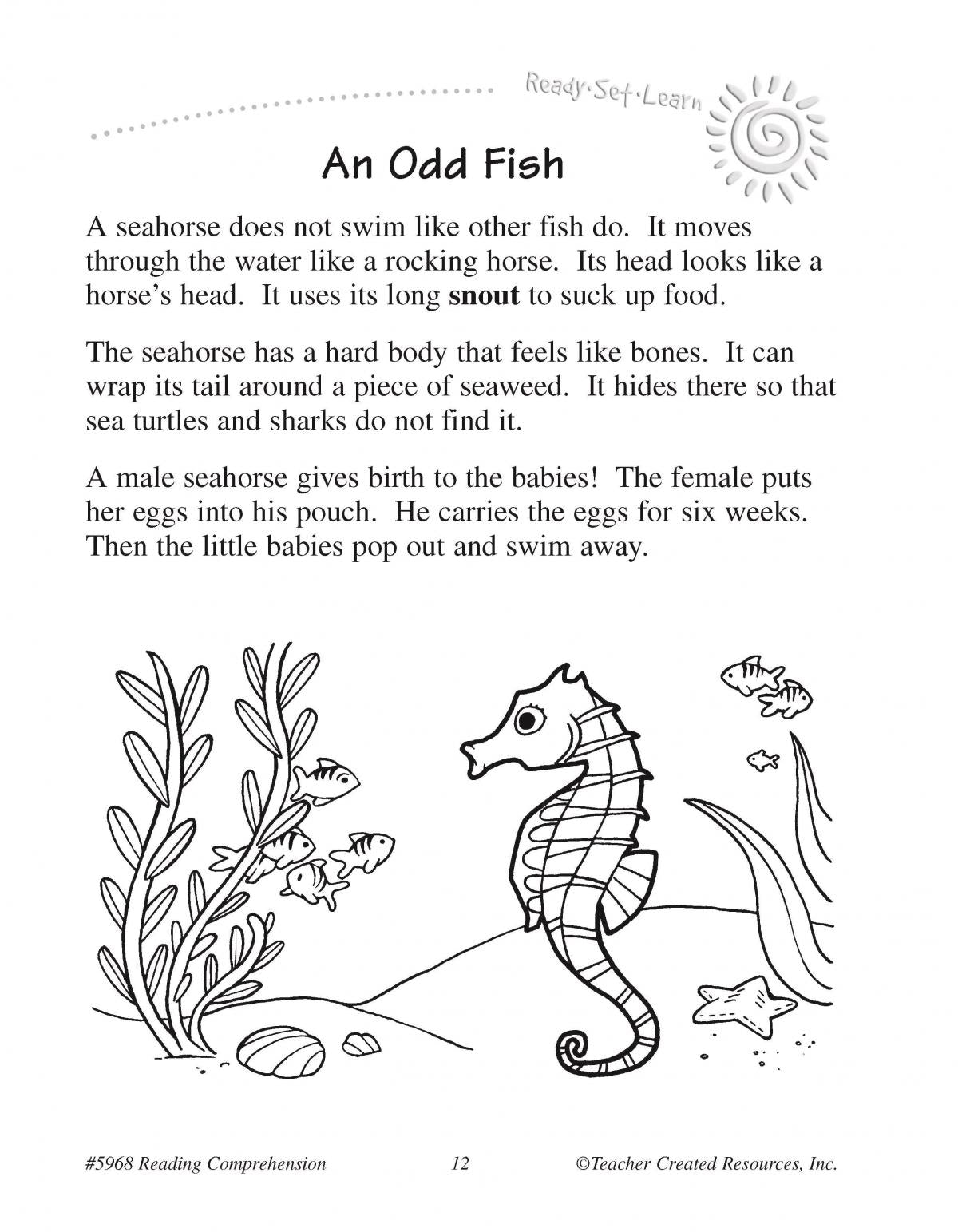 Teacher Created Resources Ready-Set-Learn Reading Comprehension Grade 1