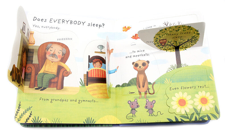 Usborne Very First Questions and Answers What is Sleep? Very First Questions and Answers What is Sleep? 睡覺是什麼? 幼兒啟蒙問答翻翻書