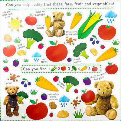 Find with Teddy Farm Big Folding Book Hardcover 找找看泰迪農場-摺疊硬皮書