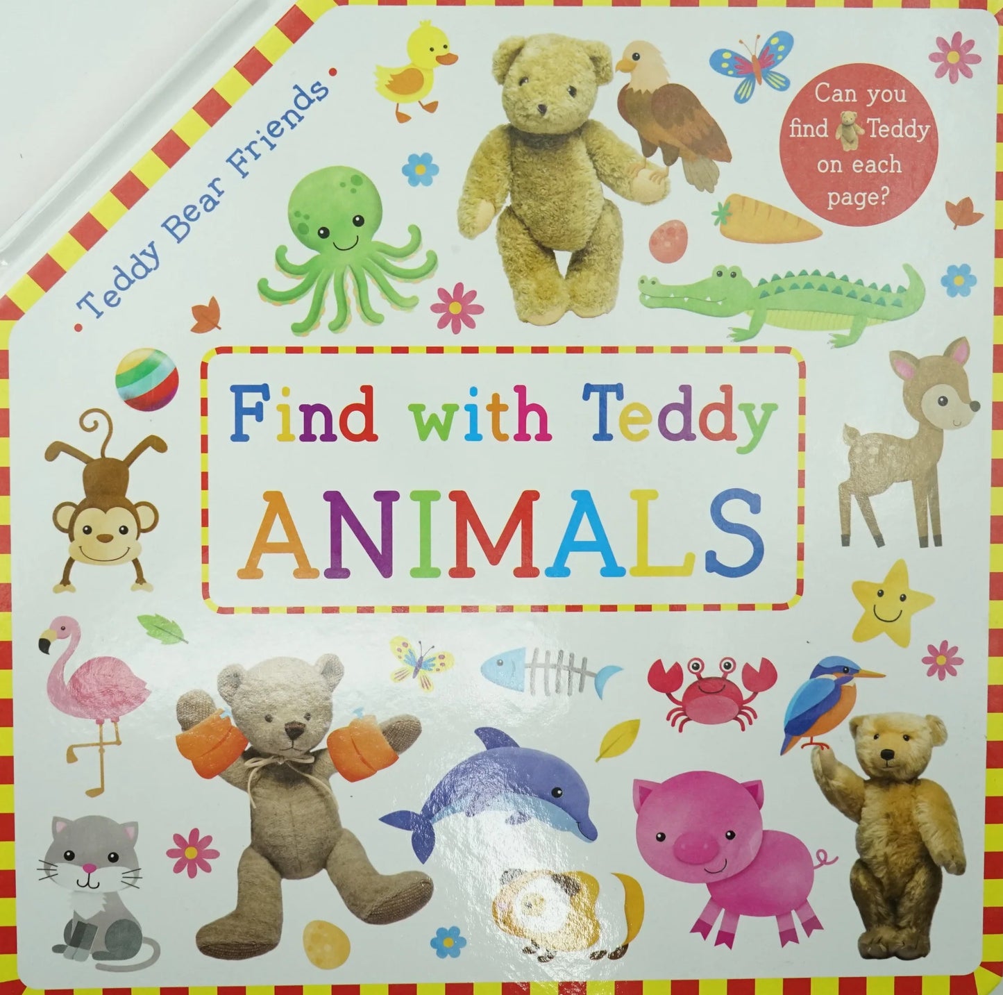 Find with Teddy Animals Big Folding Book Hardcover 找找看動物-摺疊硬皮書