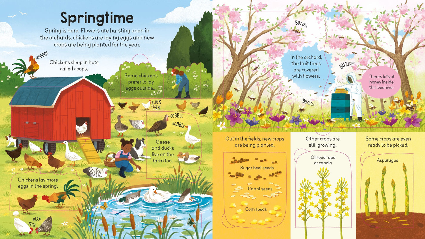 Usborne Look Inside a Farm with QuickLink Learning 農場 揭秘系列翻翻書 配有 快速學習連結