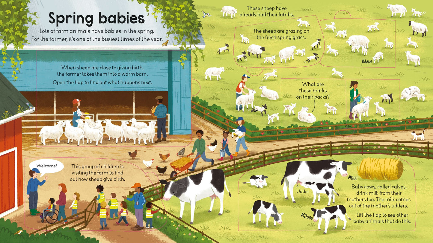 Usborne Look Inside a Farm with QuickLink Learning 農場 揭秘系列翻翻書 配有 快速學習連結