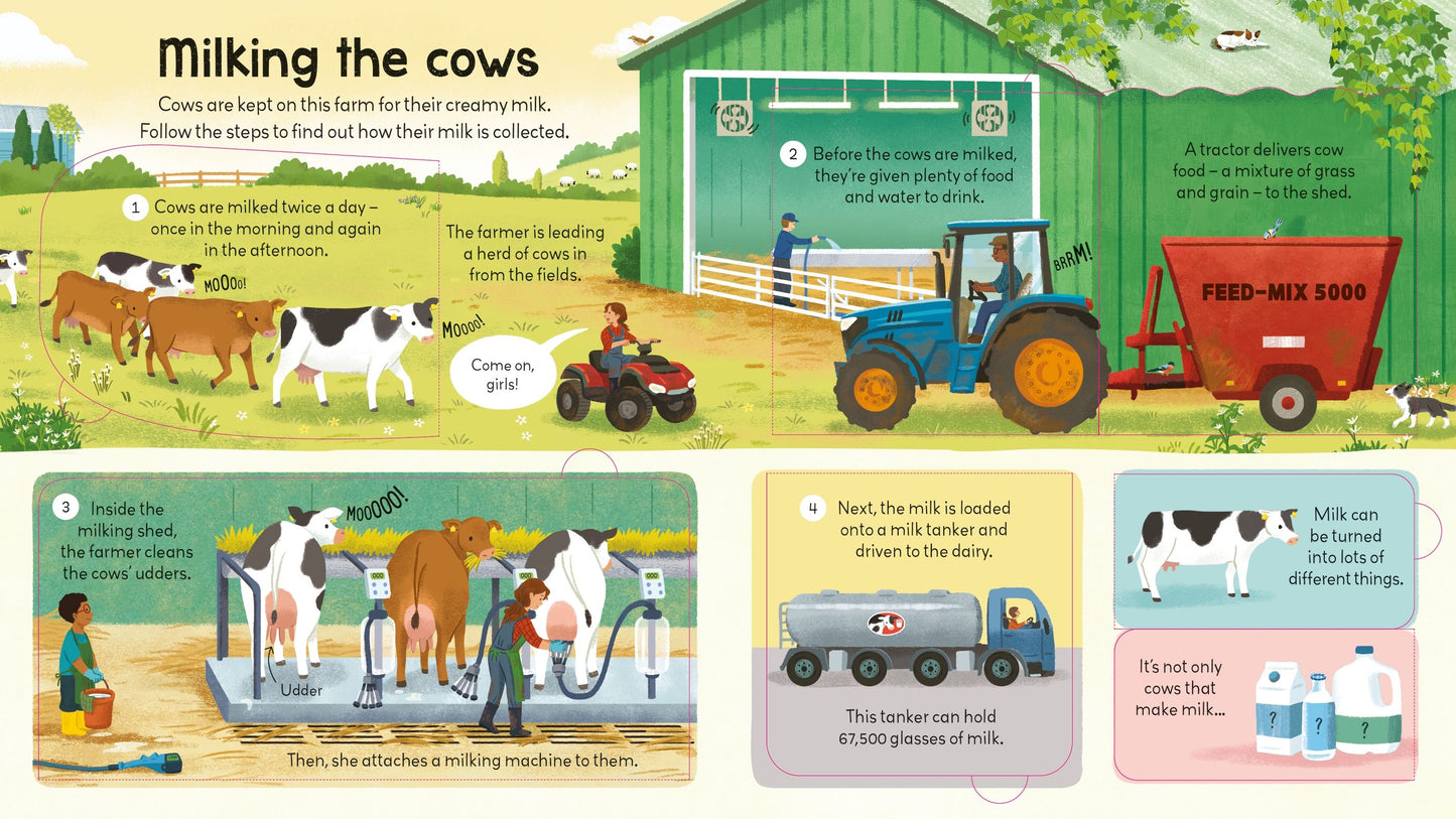Usborne Look Inside a Farm with QuickLink Learning 農場 揭秘系列翻翻書 配有 快速學習連結