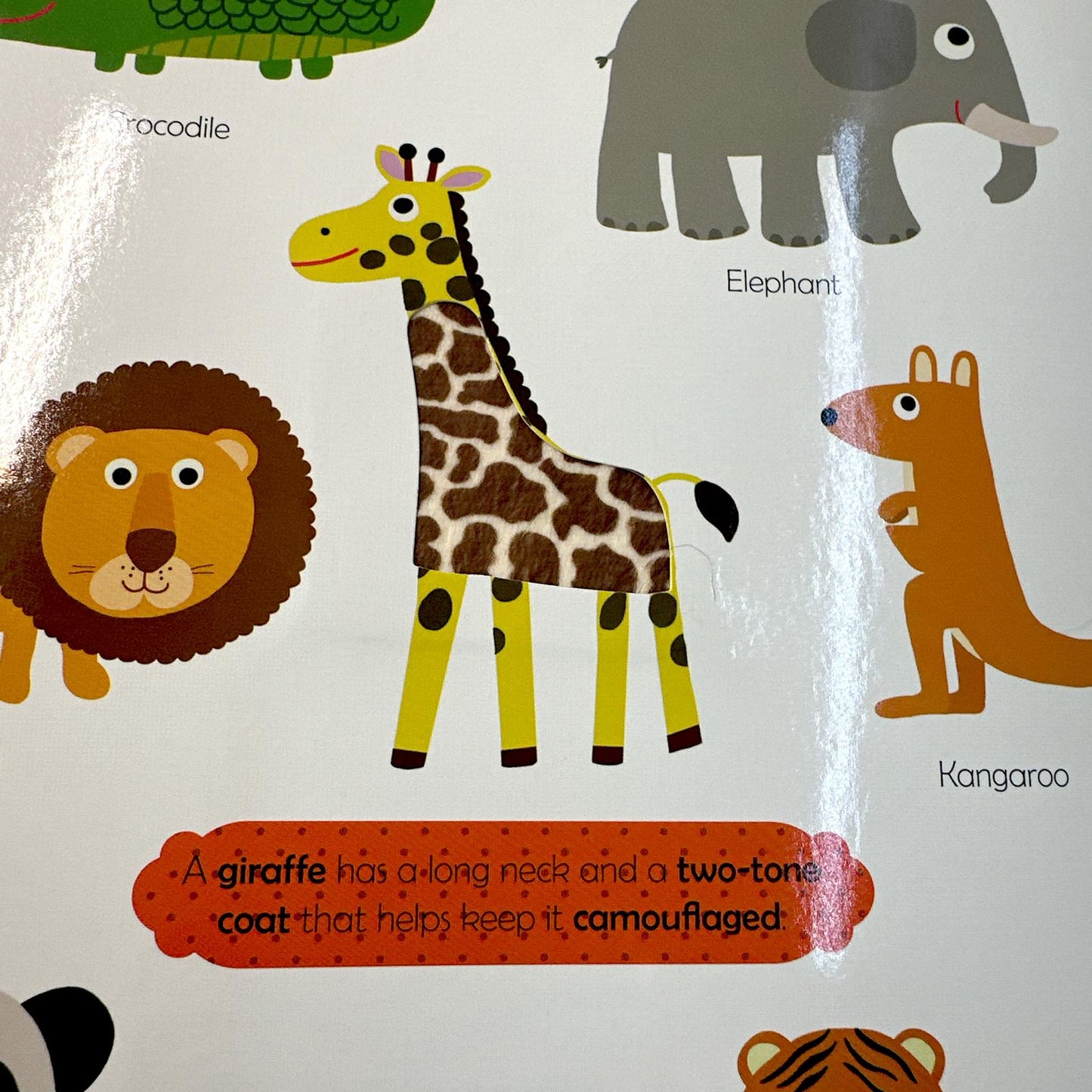 My First Touch and Feel Book - Nature