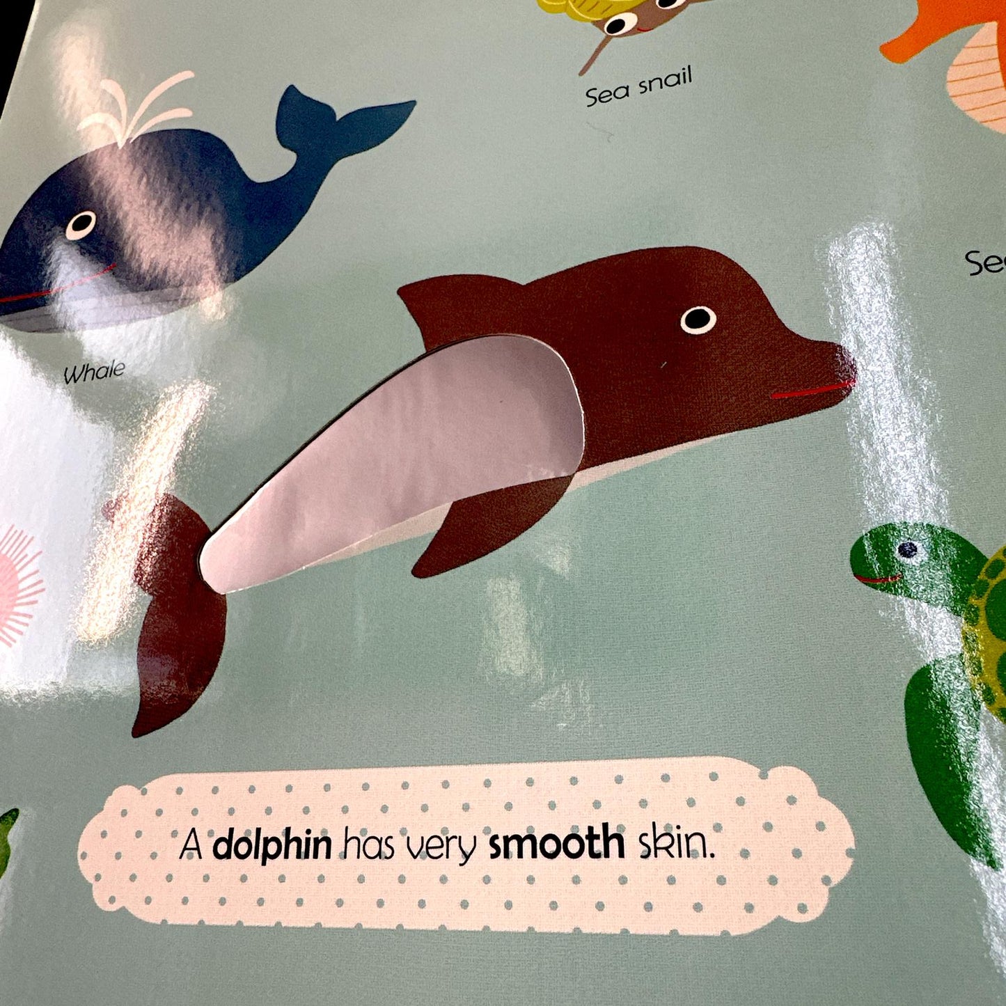 My First Touch and Feel Book - Nature