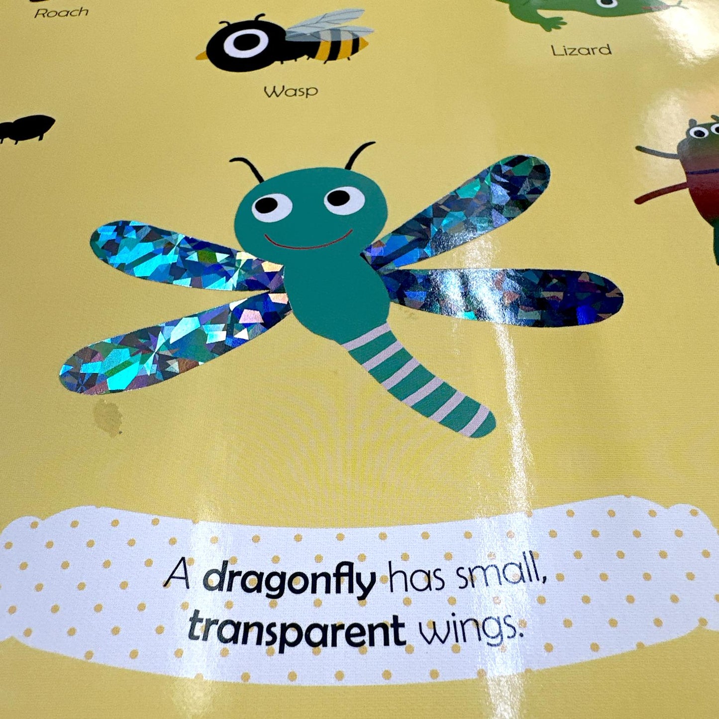 My First Touch and Feel Book - Nature