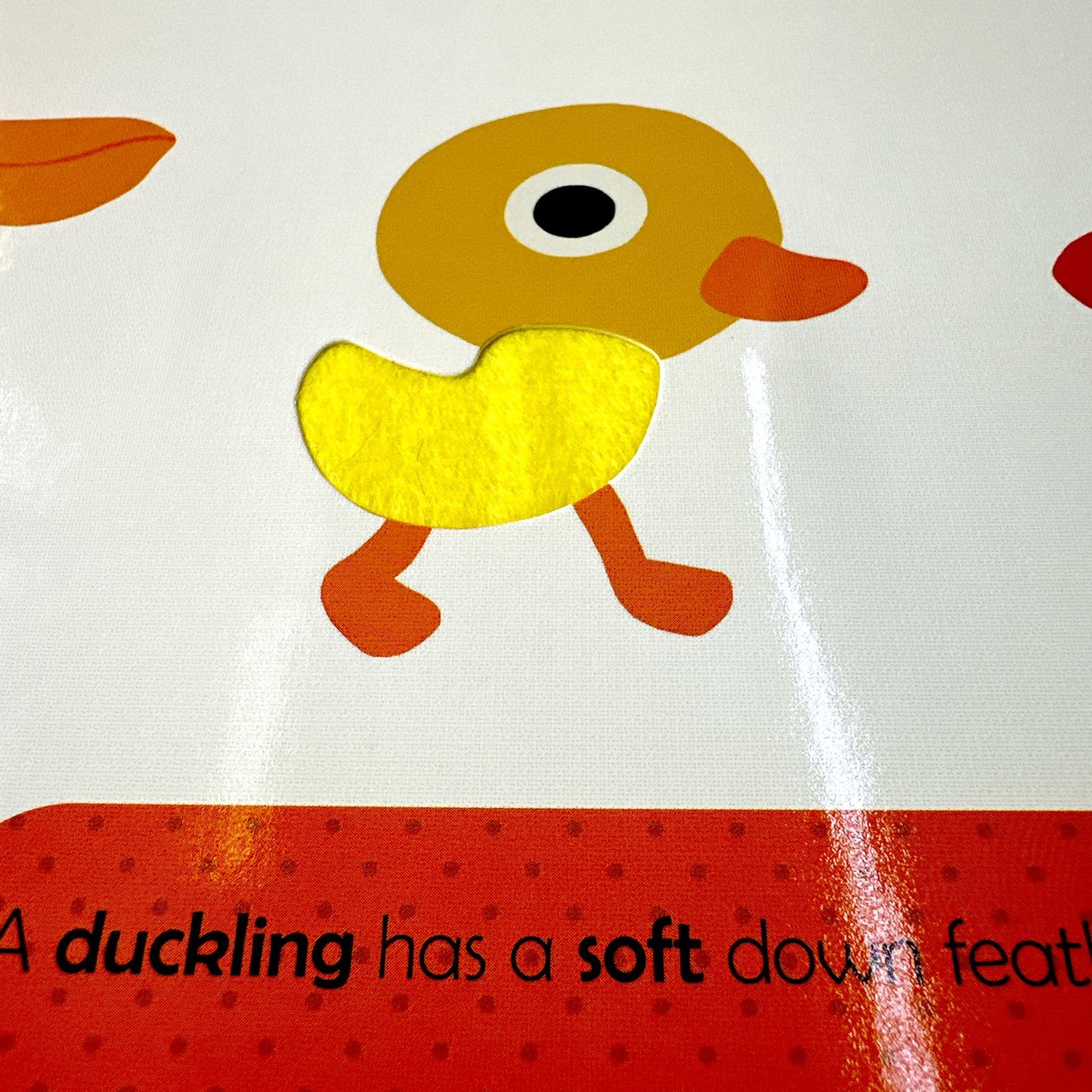 My First Touch and Feel Book - Nature