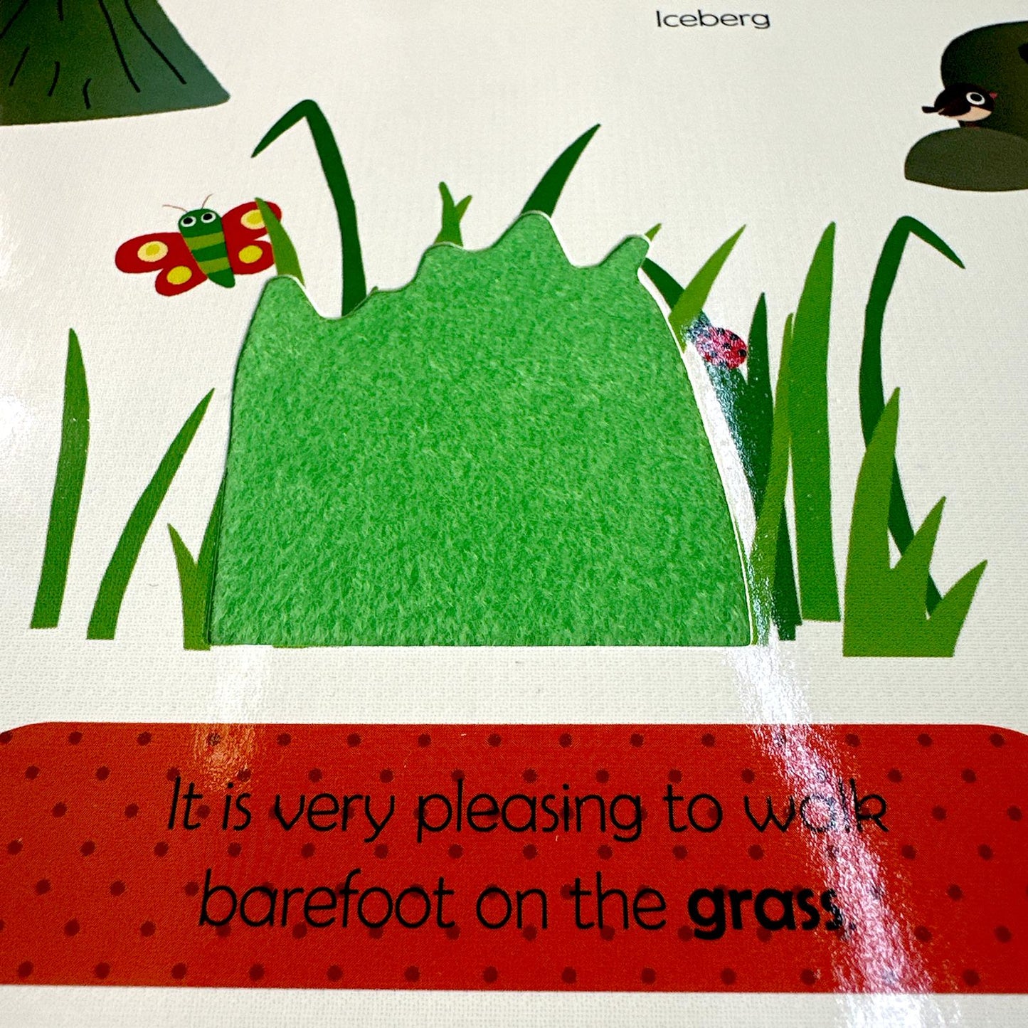 My First Touch and Feel Book - Nature
