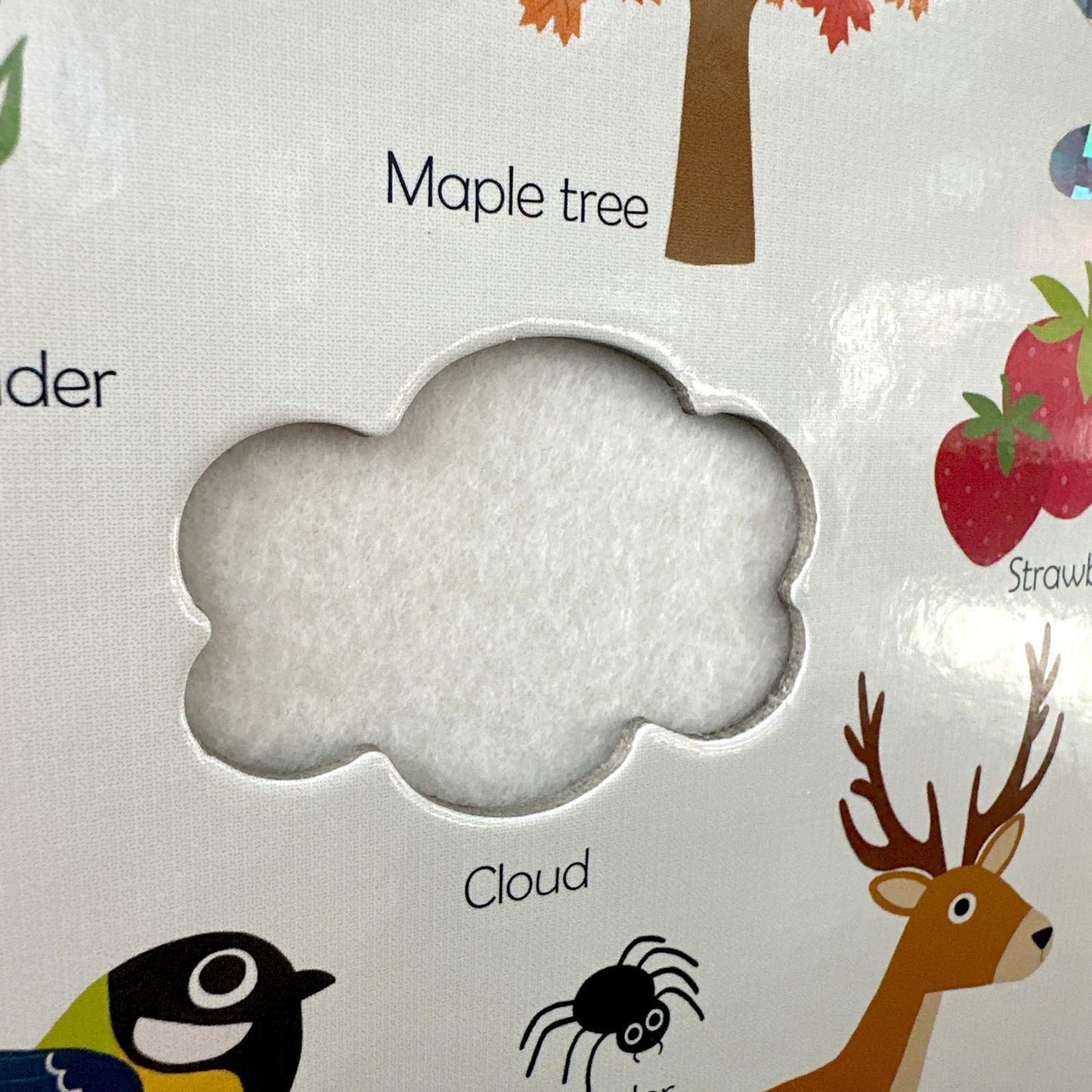My First Touch and Feel Book - Nature