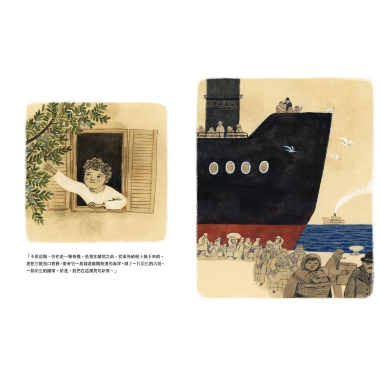 最初是一顆核桃