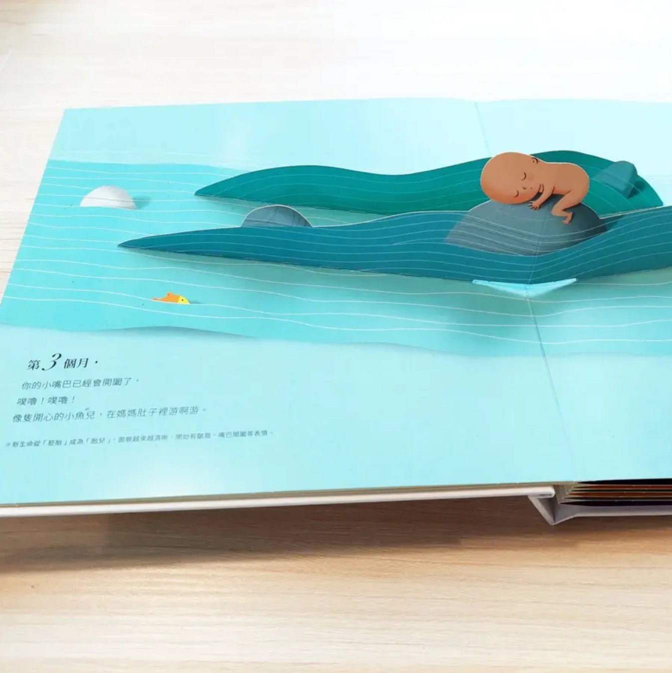 你在媽媽肚子裡的樣子: 1:1真實比例小寶寶立體書 (精美書盒典藏版)