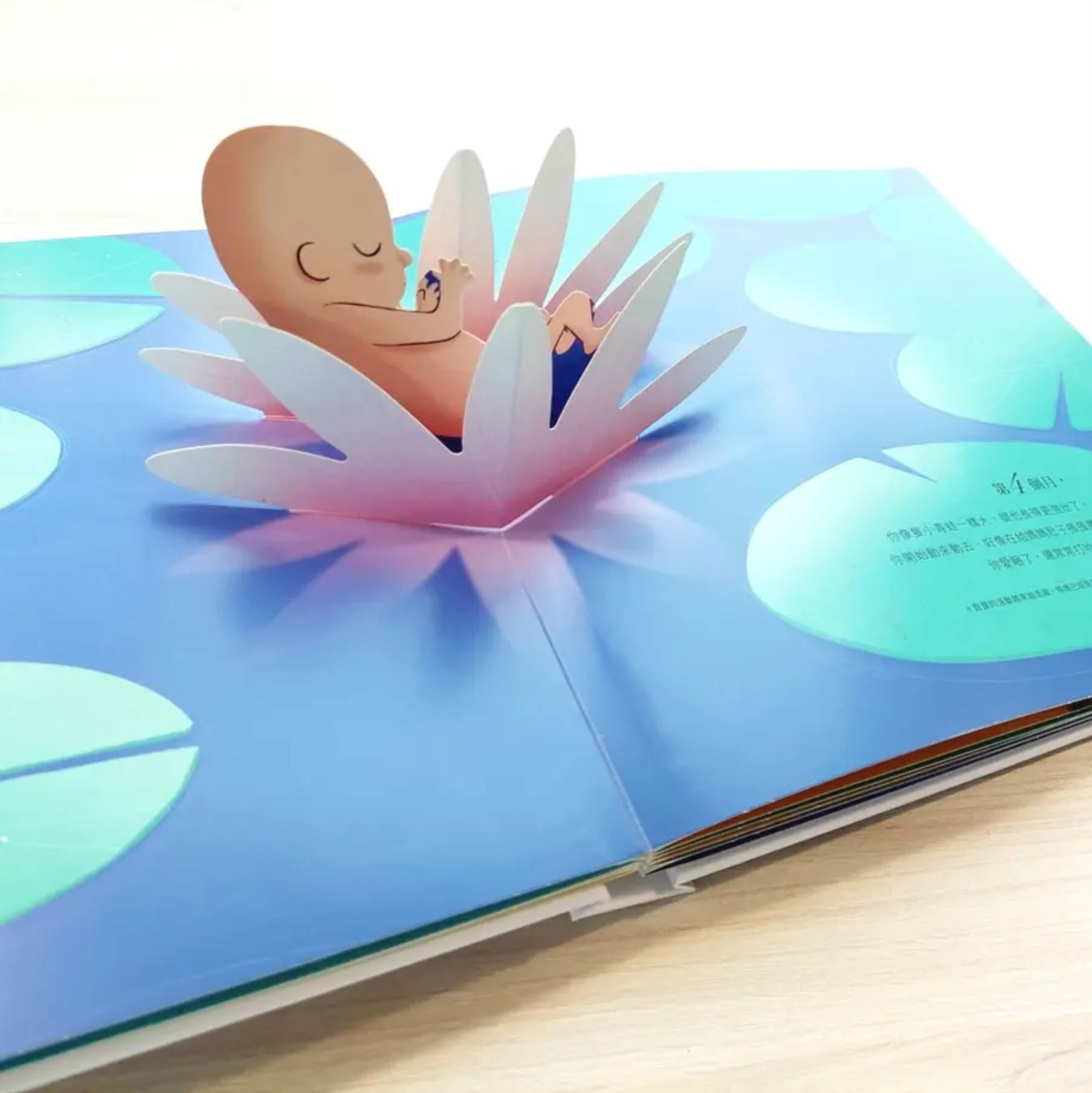 你在媽媽肚子裡的樣子: 1:1真實比例小寶寶立體書 (精美書盒典藏版)