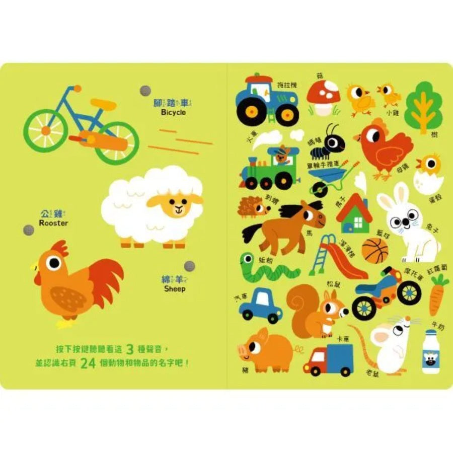 寶寶認知有聲書-認識好多好多東西