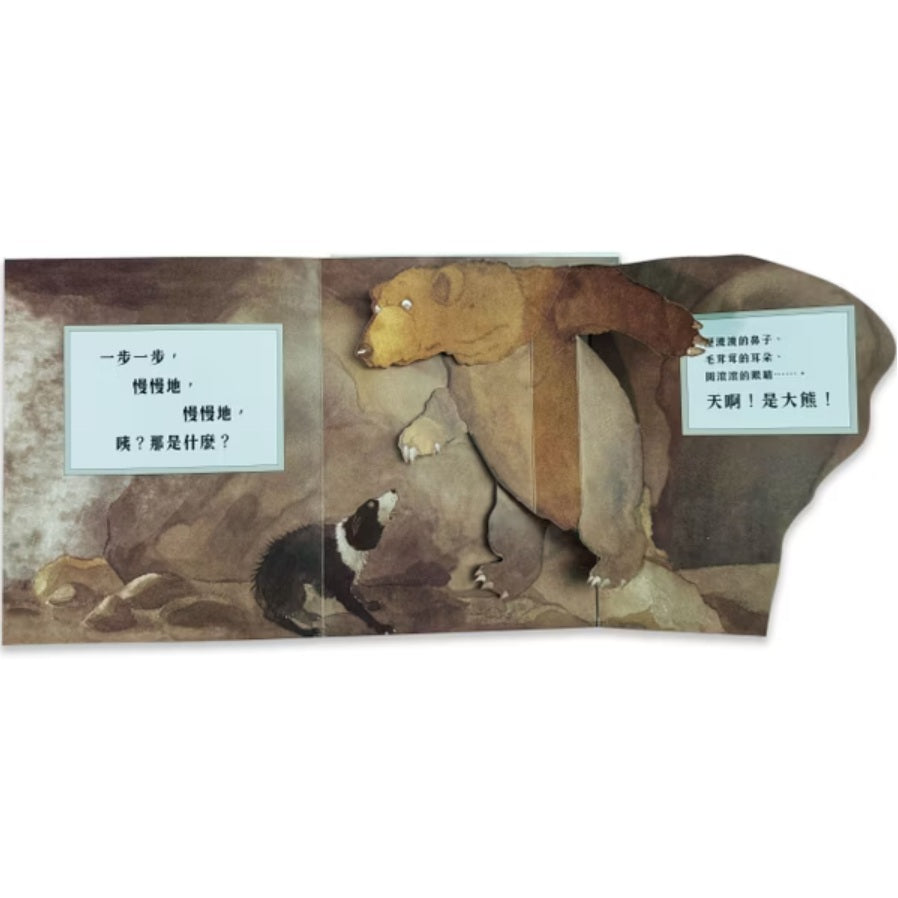 我們一起找大熊 立體版