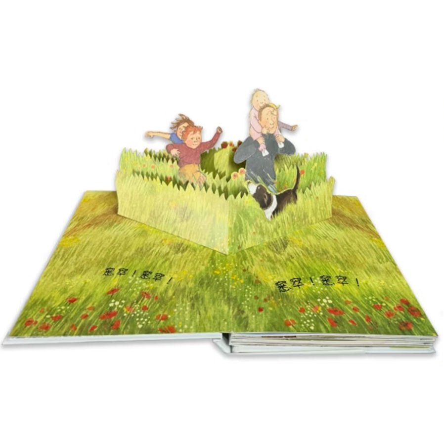 我們一起找大熊 立體版