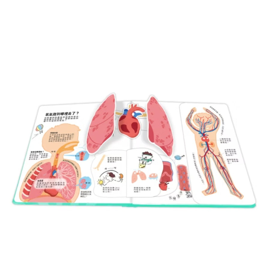 知識立體翻翻書 身體好重要！