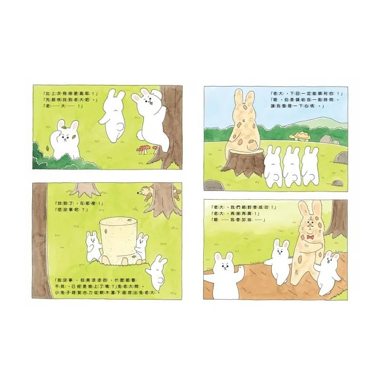 好想飛的兔老大