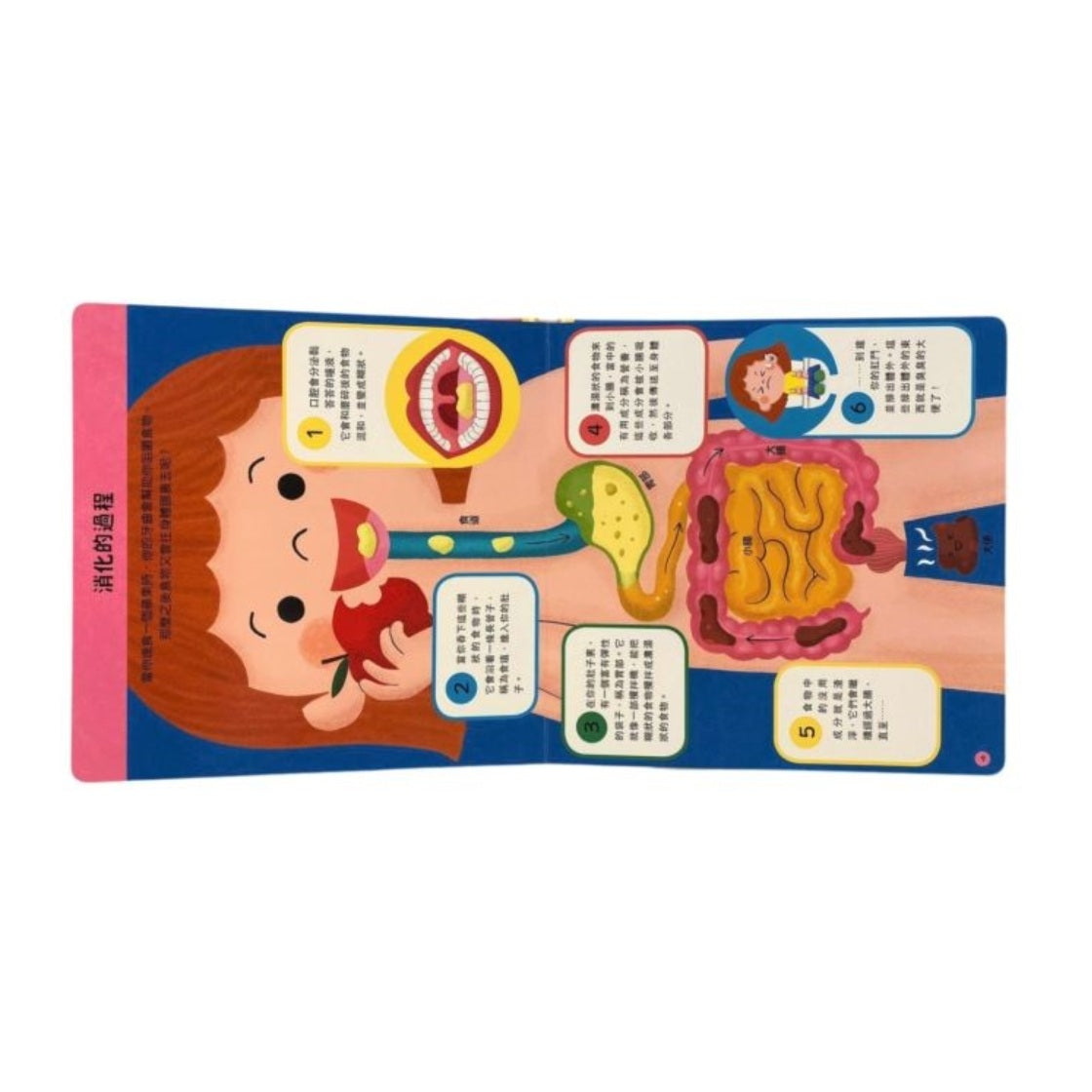 孩子的第一本身體啟蒙書