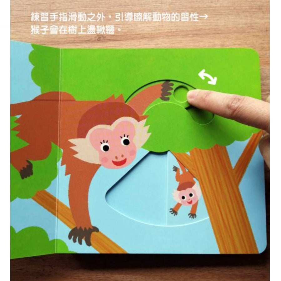 寶貝在哪裡【0～3歲寶寶全腦開發遊戲書】