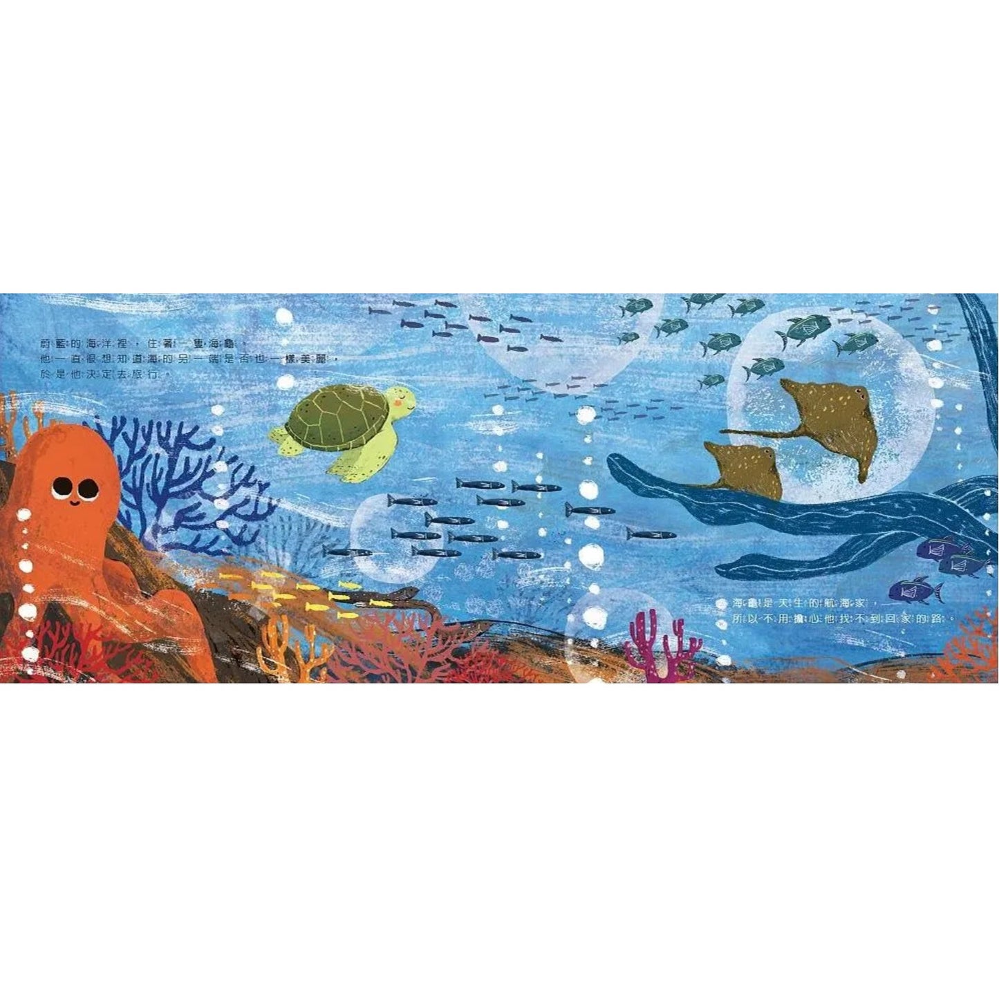 海龜與海