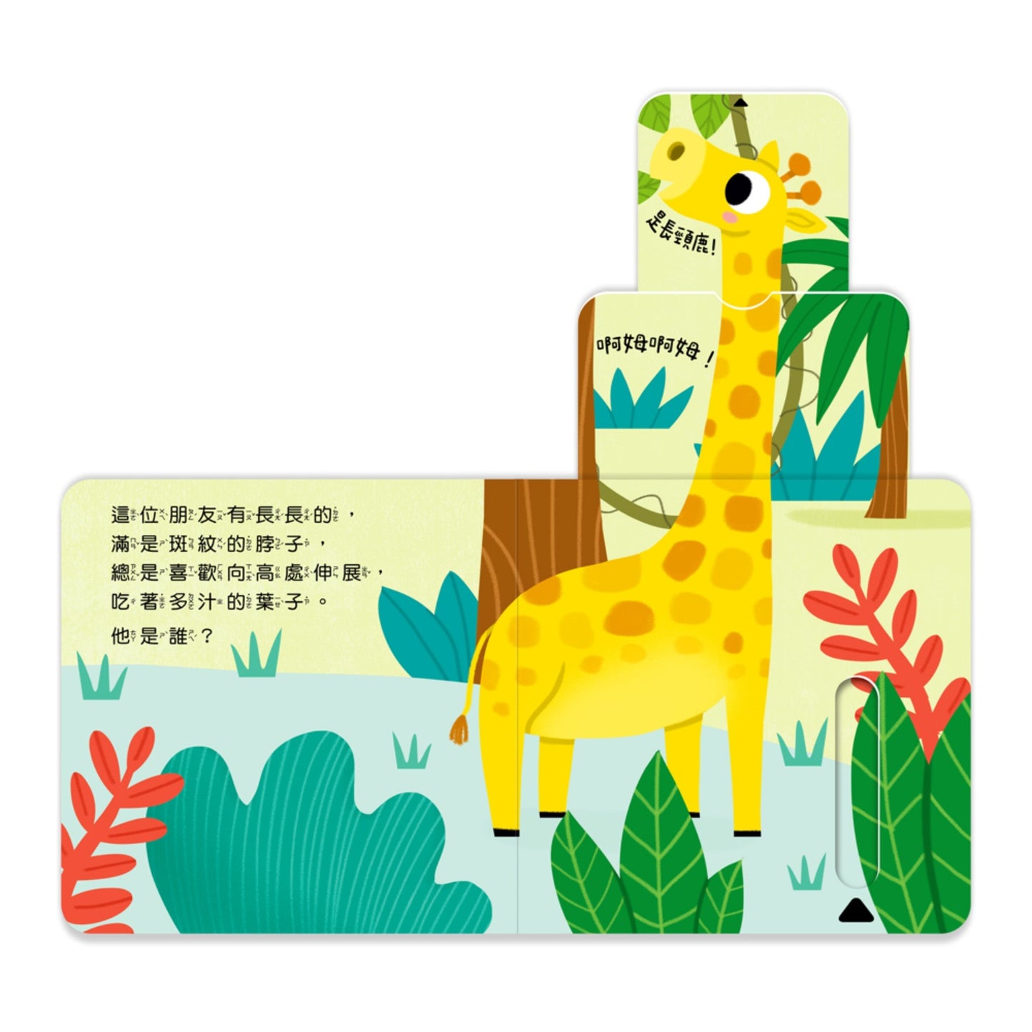 123 推拉書系列 - 鬧哄哄的雨林