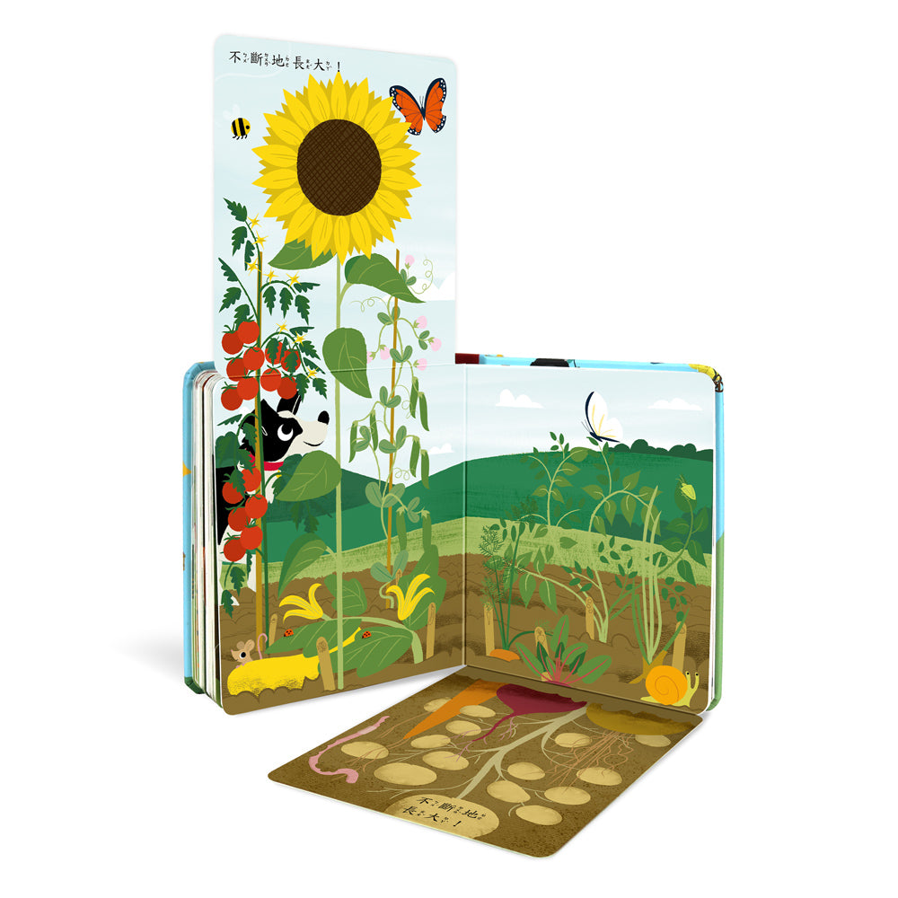 秒懂圖解⽅塊書系列：農場，忙什麼？