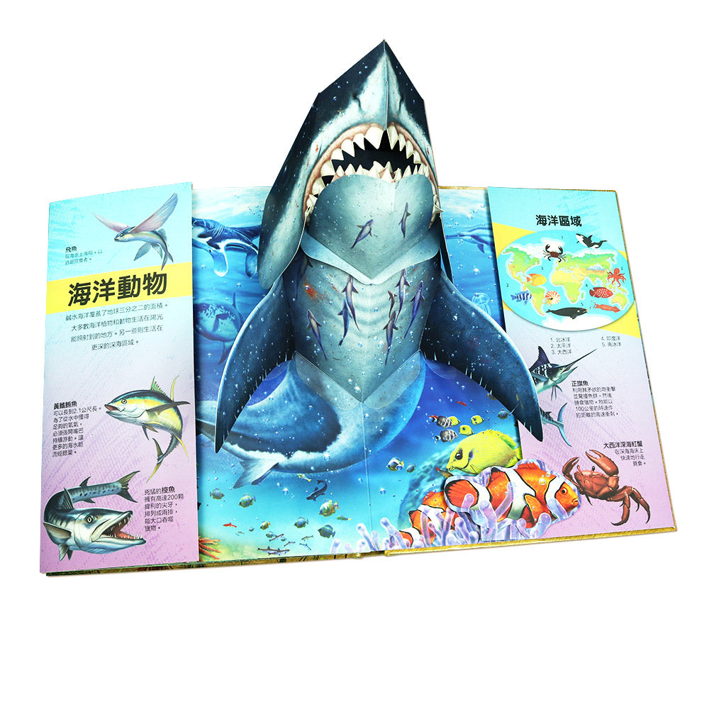 動物秘訪 超大立體書系列