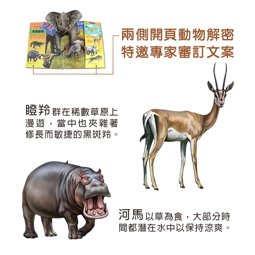 動物秘訪 超大立體書系列