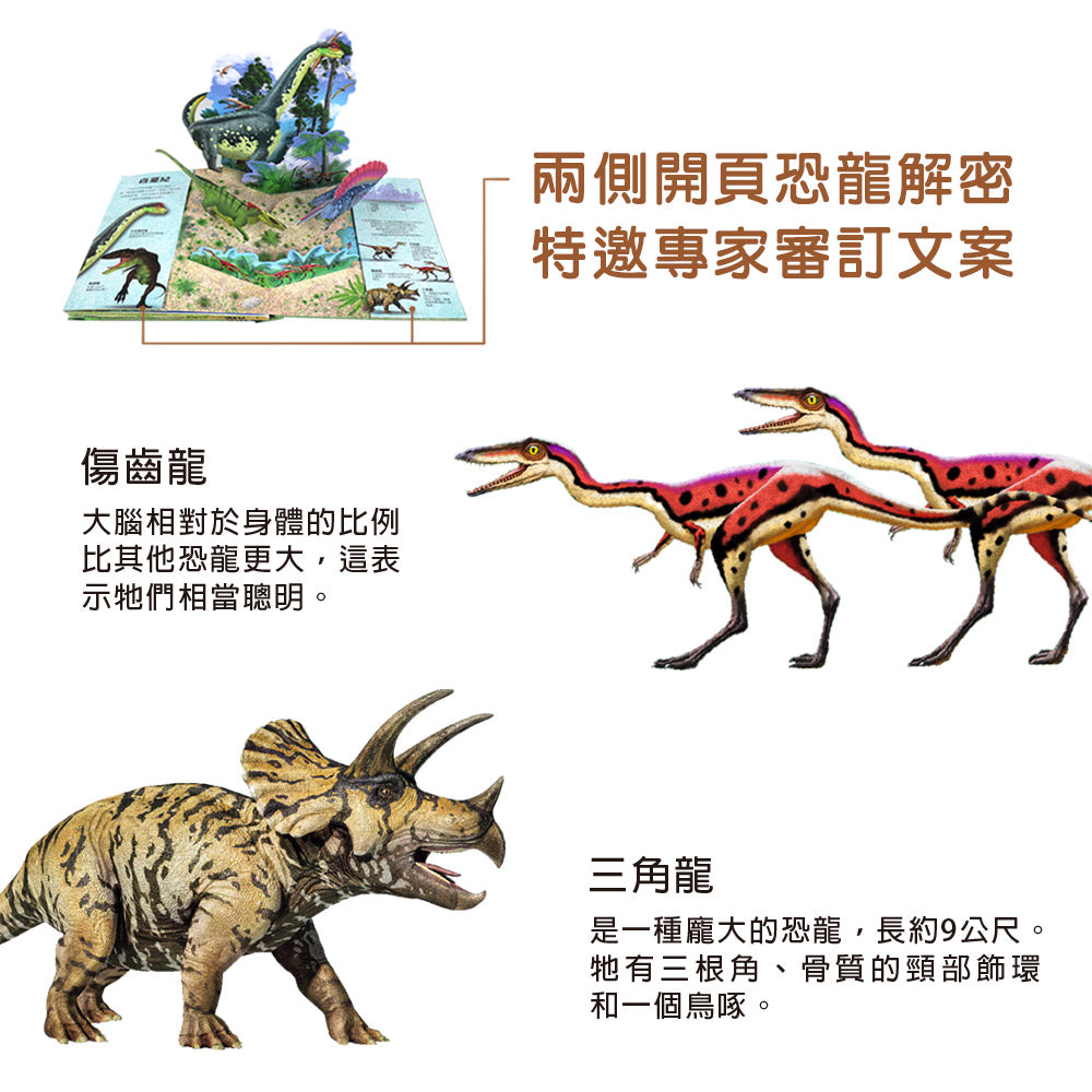 恐龍奧秘 超大立體書系列
