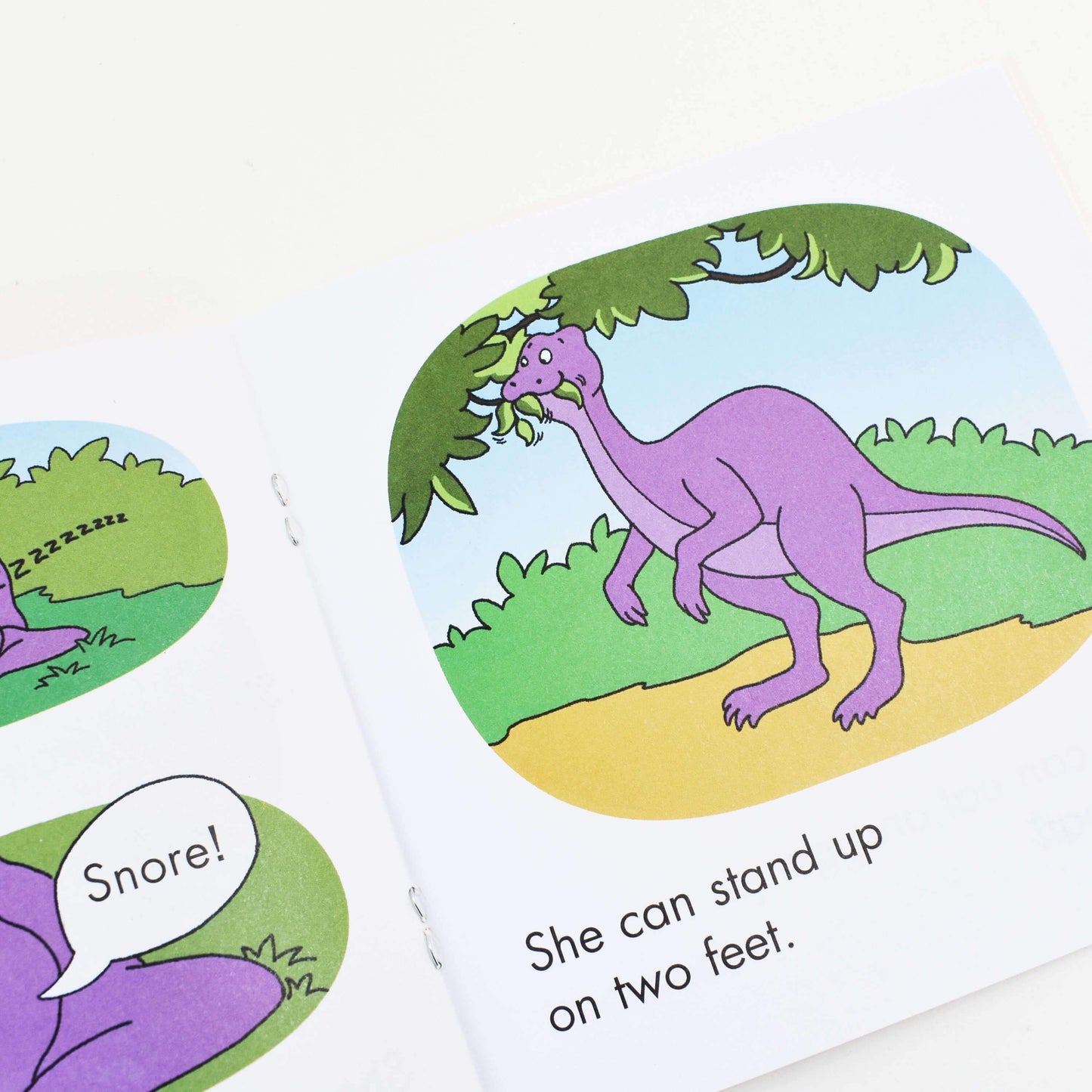 Scholastic First Little Readers - Guided Reading Level D