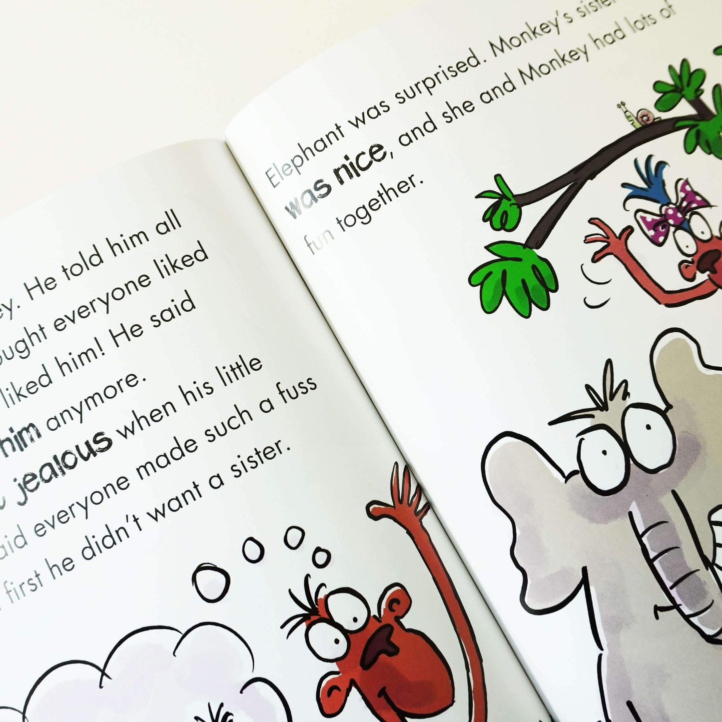 Sue Graves Experiences Matter Collection 12 Book Set 幼兒生活經歷系列 12 本套裝