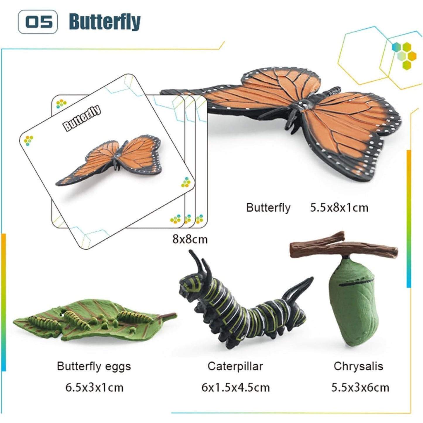 Animal Growth Cycle Model with Card Learning Kit 動物成長週期模型圖卡學習套裝