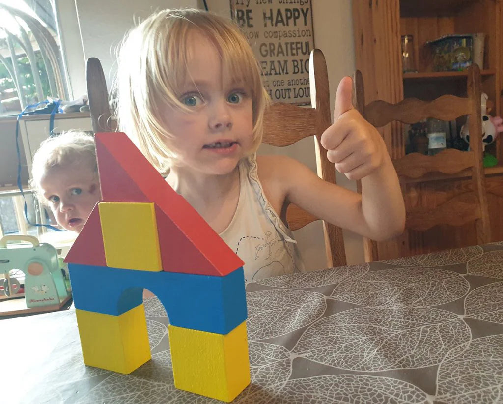 Beleduc Topologo GEO Spatial Cognition Game 幾何建構 空間與方位訓練遊戲