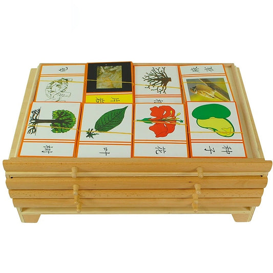 樹葉及動植物嵌板櫃