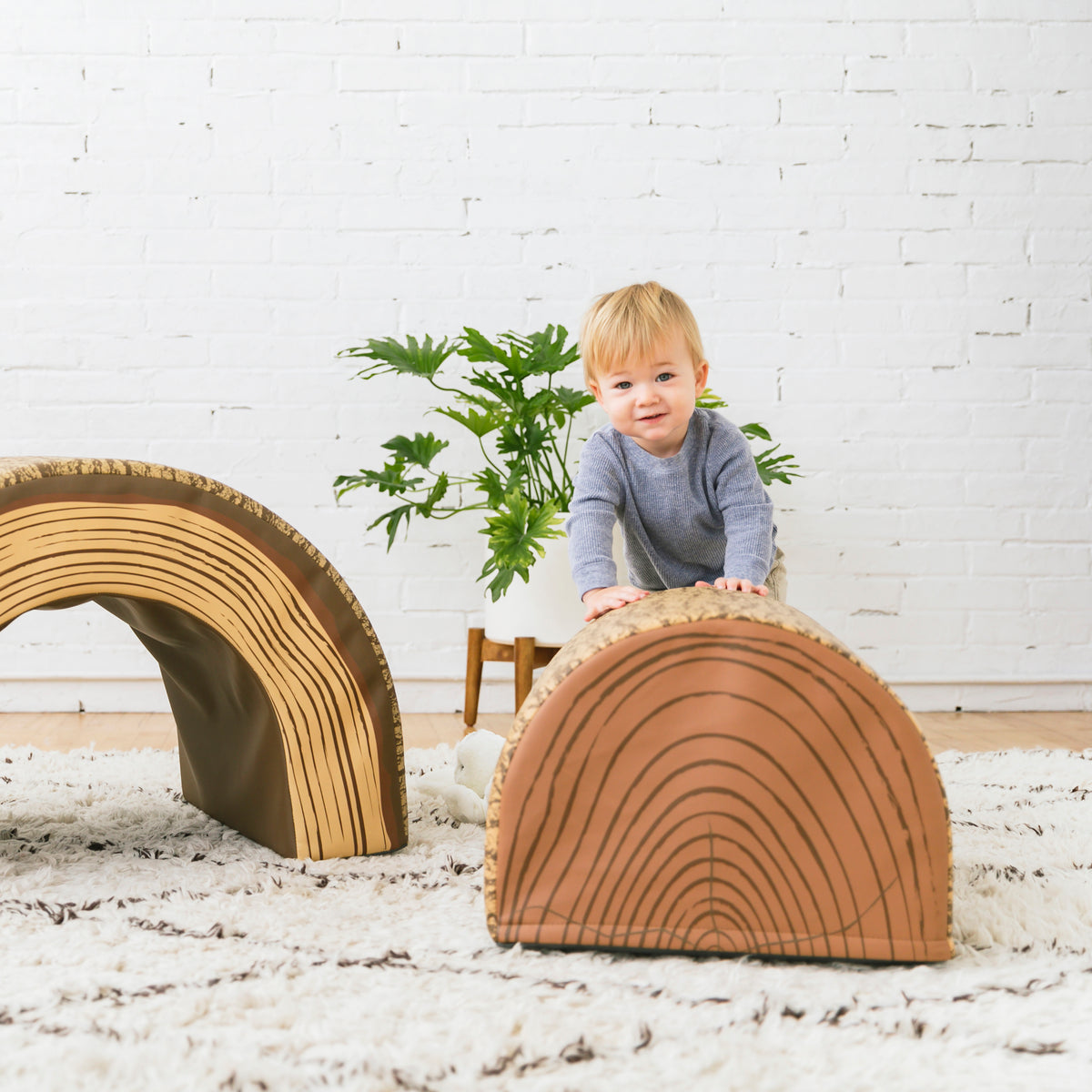 Tree Log Nature-Inspired Tunnel and Climber Set of 2