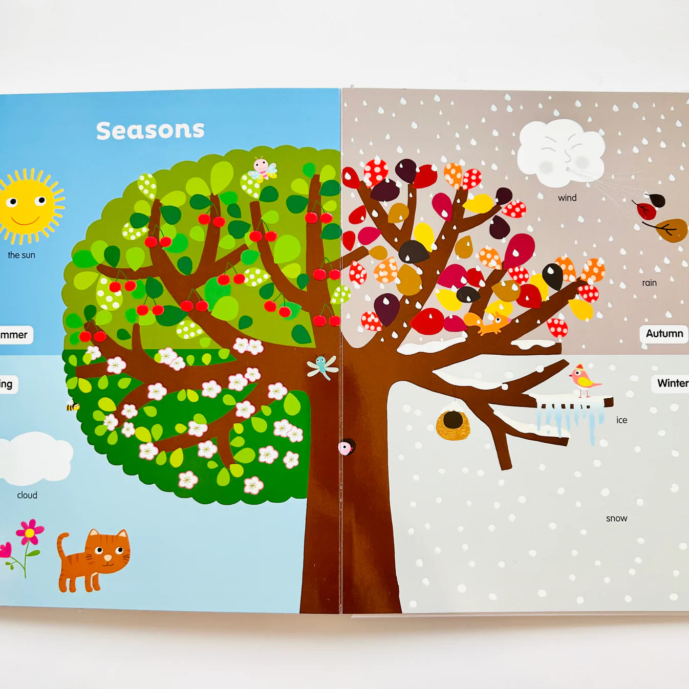 My First Touch and Feel Book - Nature