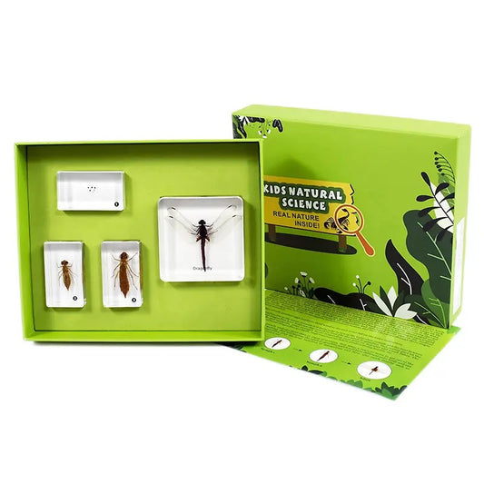 Kindermatic Life Cycle of Dragonfly Specimen Boxset 蜻蜓成長記標本盒裝