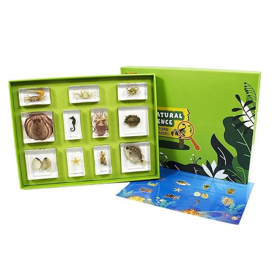 Kindermatic Marine Animal Kits Specimen Boxset 神秘的海洋動物標本盒裝