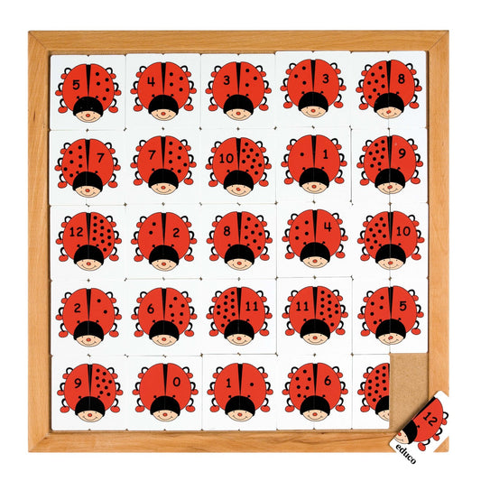 Educo Beetle Counting Game