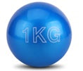 Toddler Soft Shot Put 1kg 幼兒軟式鉛球1KG