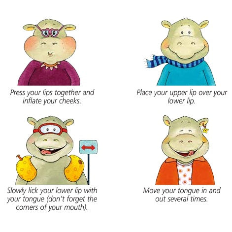 Haba Mimik Memo Oral Motor Skills Game  扮嘢王口腔運動訓練遊戲