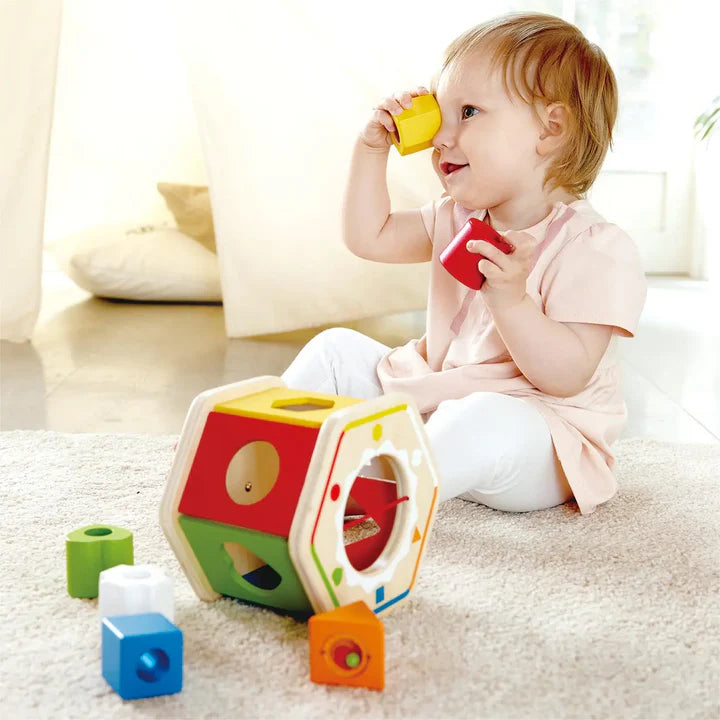 Hape Wooden Wonder Shape Sorter 多彩分類積木盒