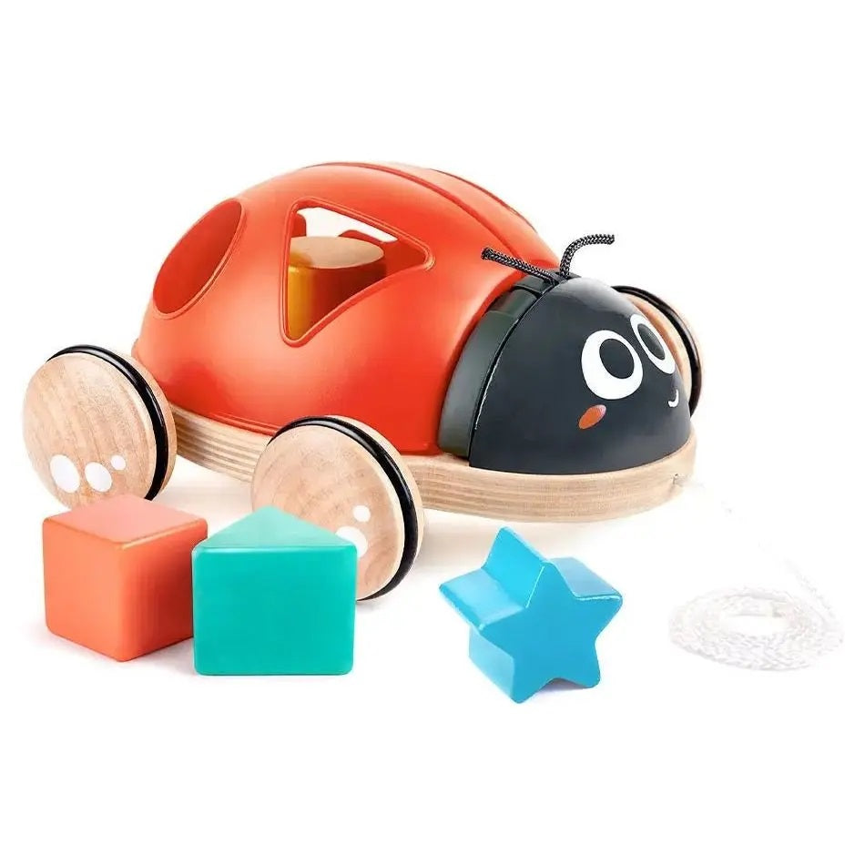 Hape Shape-Sorter Ladybug 形狀分類器瓢蟲