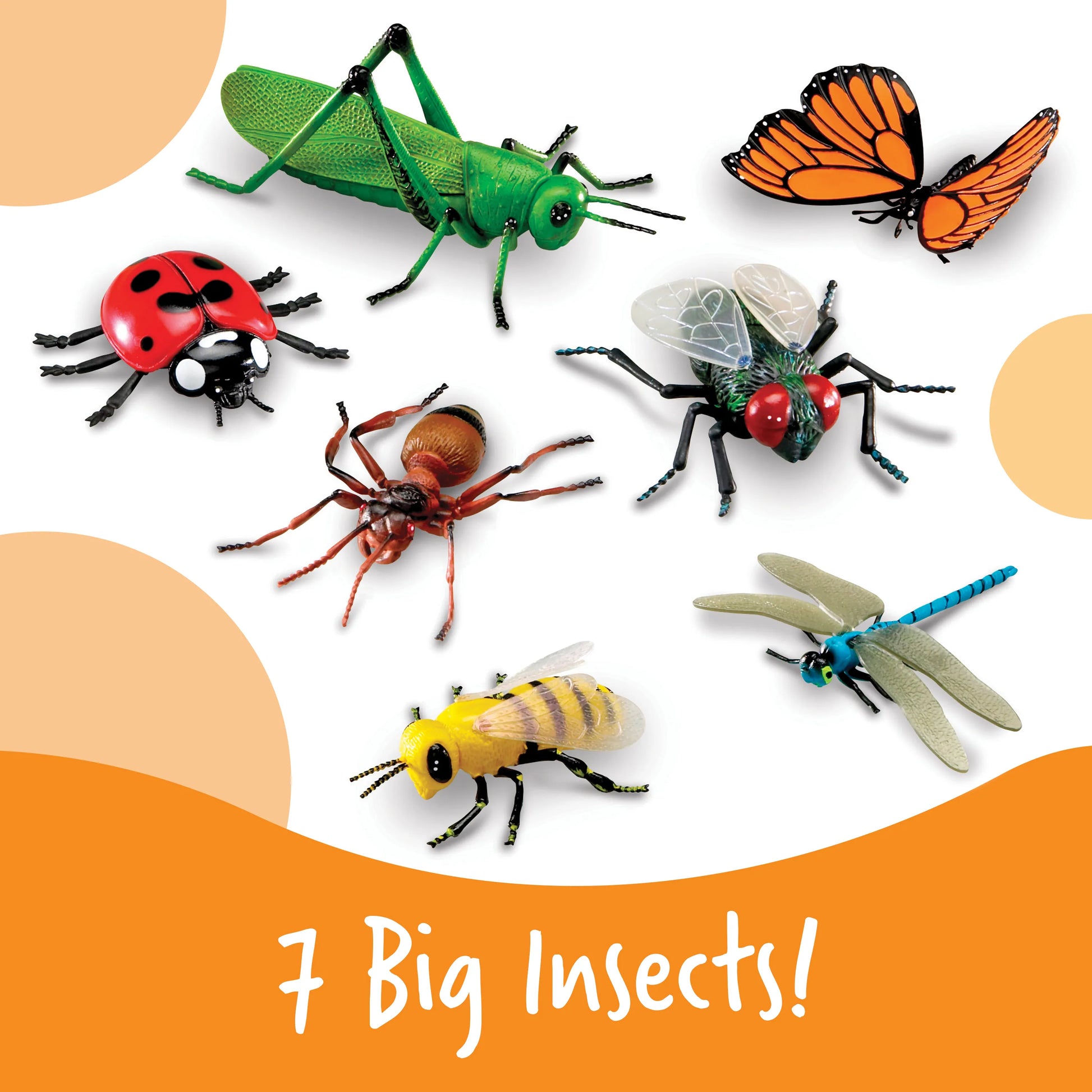 Learning Resources Jumbo Insects – MY SCHOOL BUS