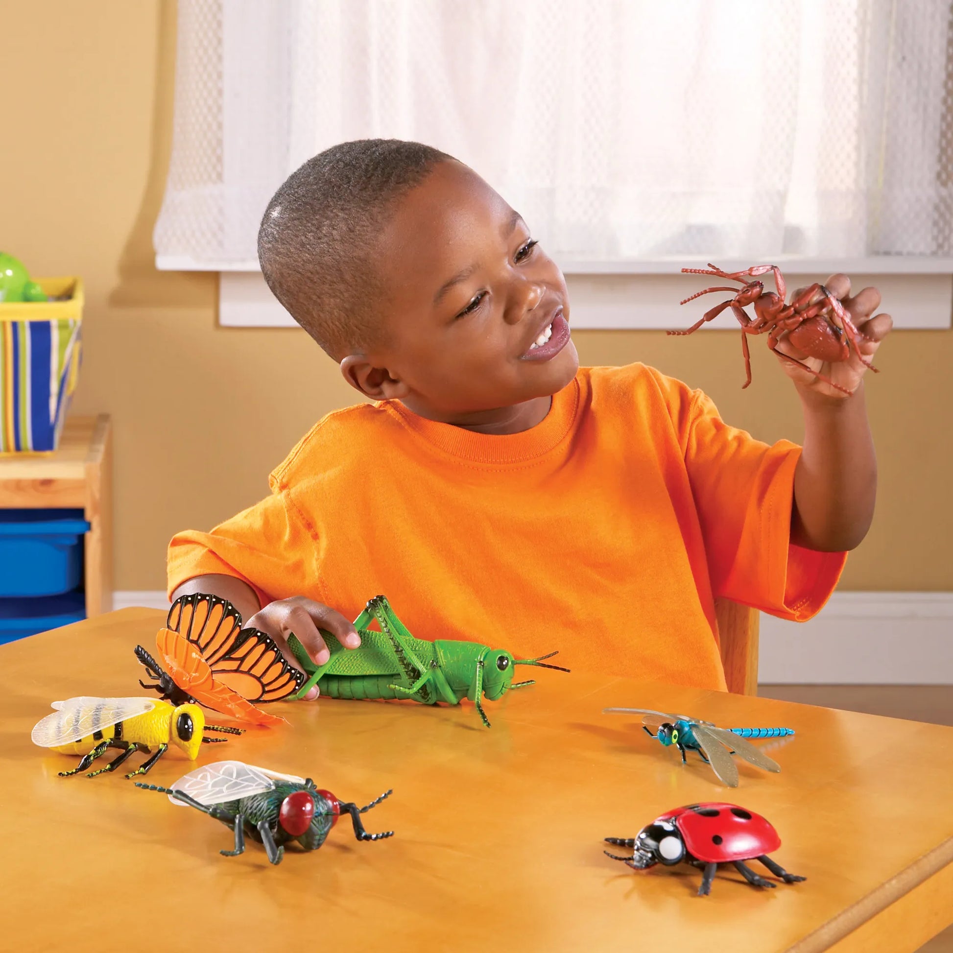 Learning Resources Jumbo Insects – MY SCHOOL BUS