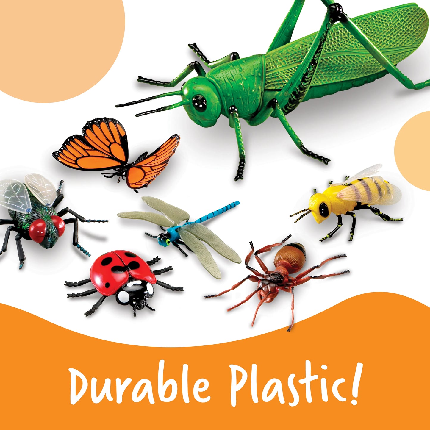 Learning Resources Jumbo Insects – MY SCHOOL BUS