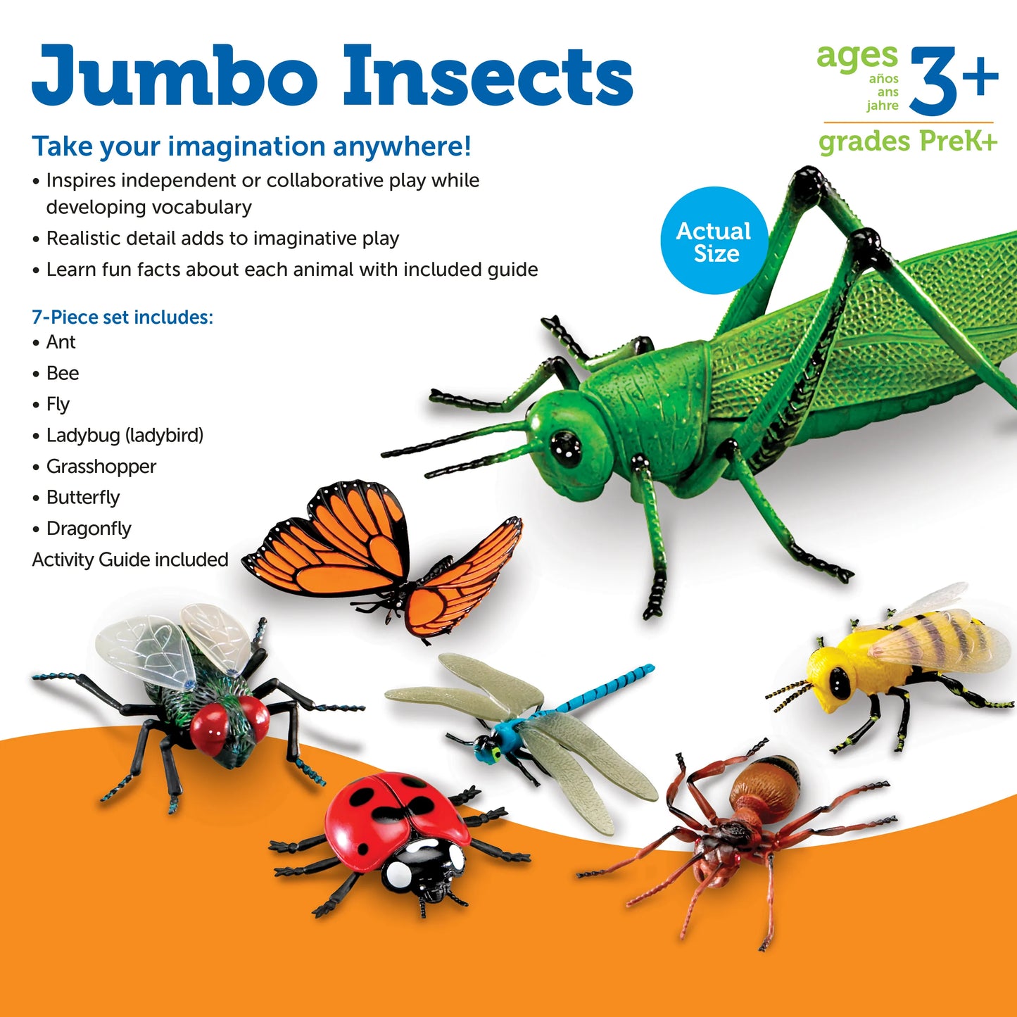 Learning Resources Jumbo Insects – MY SCHOOL BUS