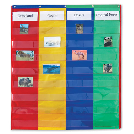 Learning Resources 2- & 4-Column Double-Sided Pocket Chart
