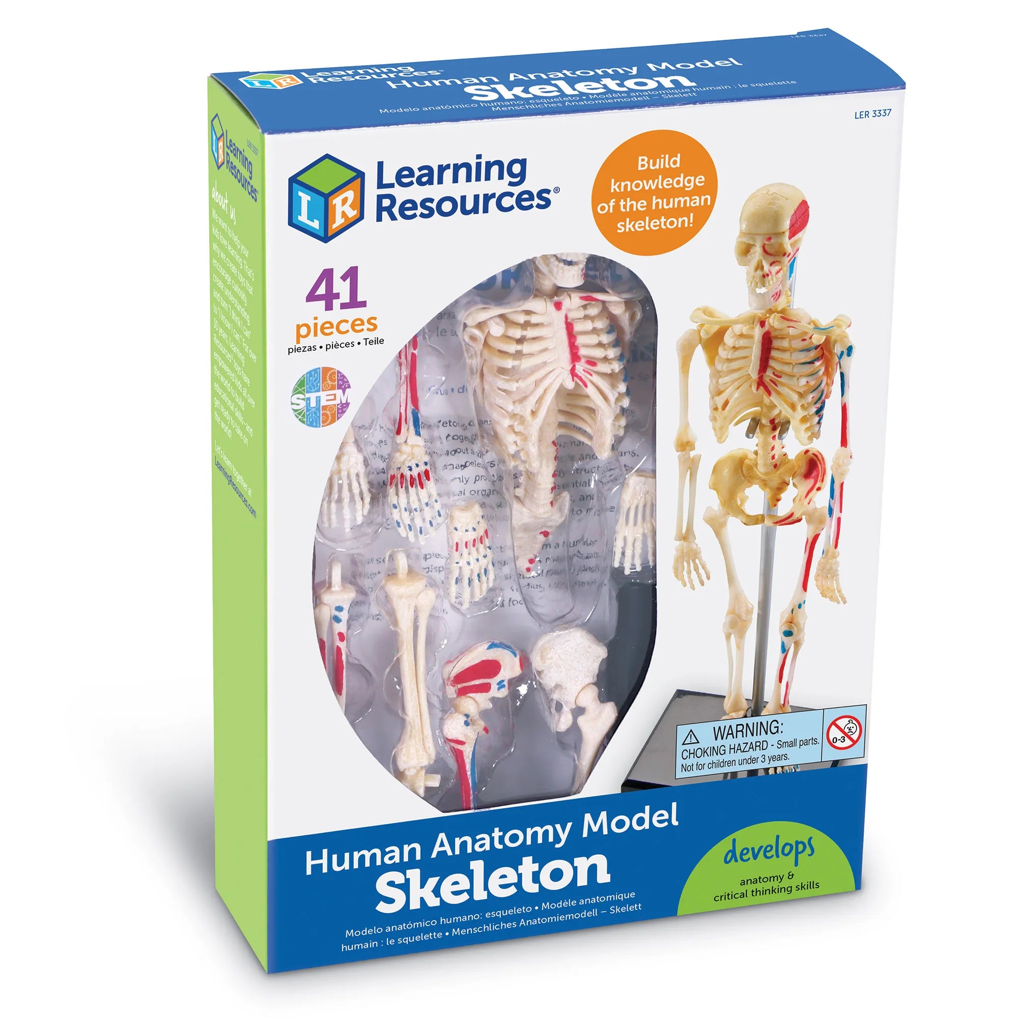Learning Resources Anatomy Model - Skeleton – MY SCHOOL BUS